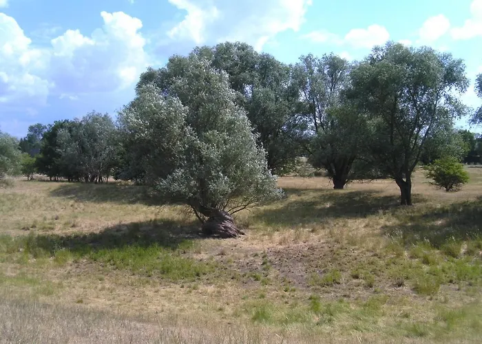 Penzion An Der Havel