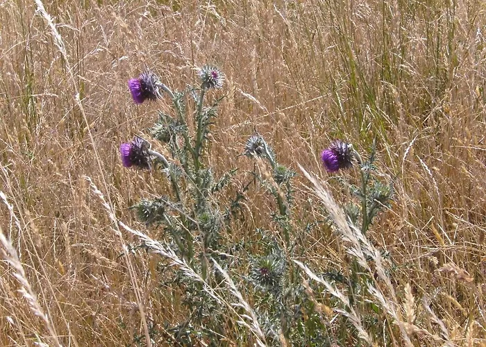 An Der Havel Penzion Havelberg